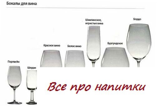Какой бокал к какому вину?