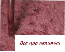 Спиртовое брожение винограда